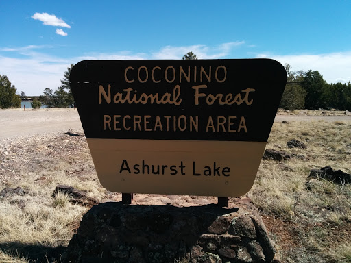 Ashurst Lake Recreation Area