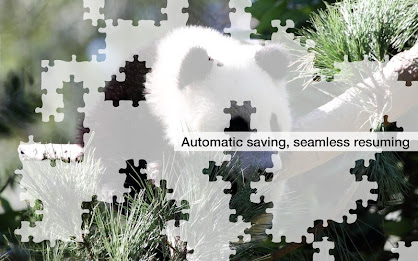 Jigsaw Puzzles: Pandas poster 4