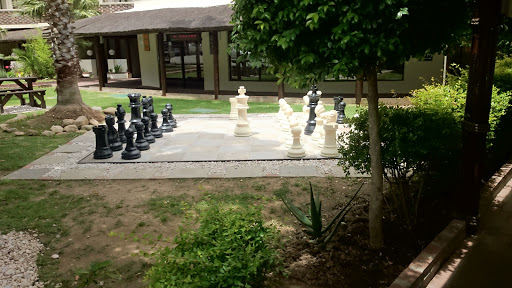 Avalon Springs Chess Board