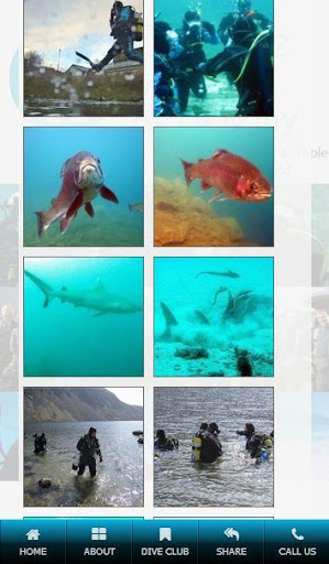 免費下載商業APP|Learn To Scuba Dive Ltd app開箱文|APP開箱王