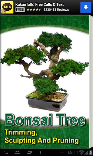 Bonsai Tree