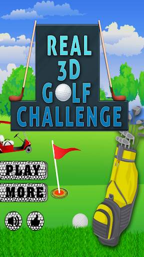 Real 3D Golf Challenge