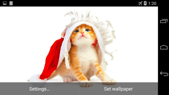 Funny Christmas Cat Wallpaper Screenshots 0
