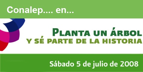 [conaelppalntandounarbolquegraciosono[3].jpg]