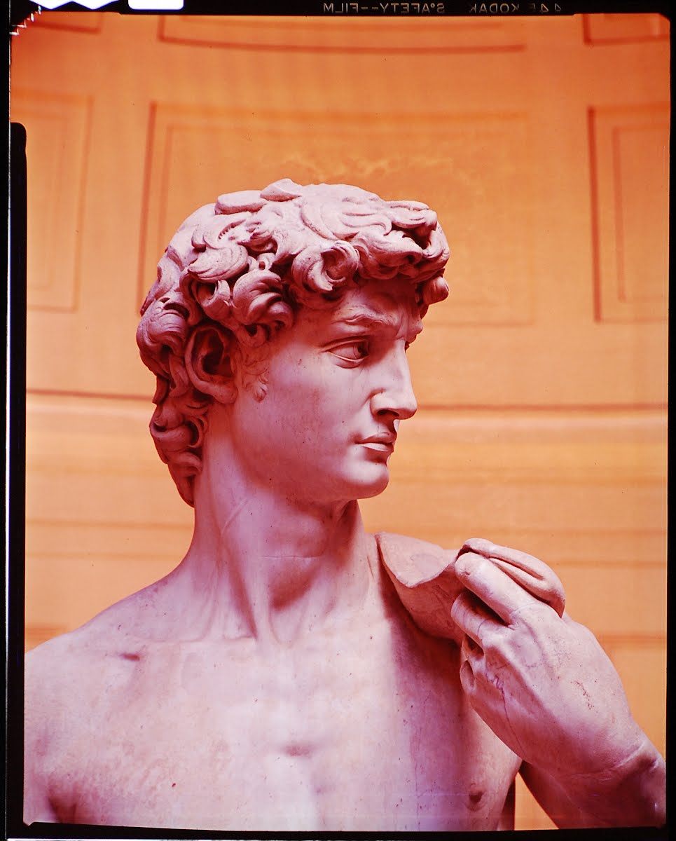 Art Library Michelangelo ( Statue Of David ) David Lees — Google
