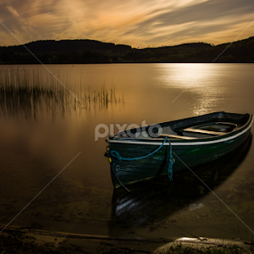 On Golden Pond by Buster Brown - Landscapes Waterscapes