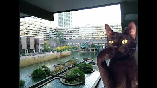 Cat Bomb Camera(圖6)-速報App