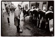 Rundvee- en goederenmarkt