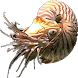 Guess What: Animals