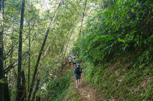 trek-waterfall-grenada - Trek along a hiking path to a waterfall in Grenada.