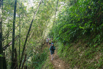 Trek along a hiking path to a waterfall in Grenada.