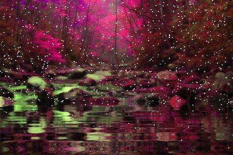 Android application Color Lake screenshort