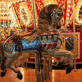 Carousel  by Joel Ortiz - Artistic Objects Antiques