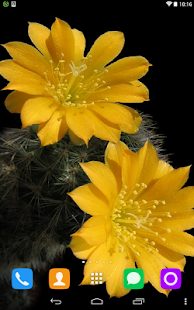 How to install Cactus Live Wallpaper 1.1.1 unlimited apk for bluestacks