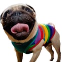 HundeBOX.dk logo