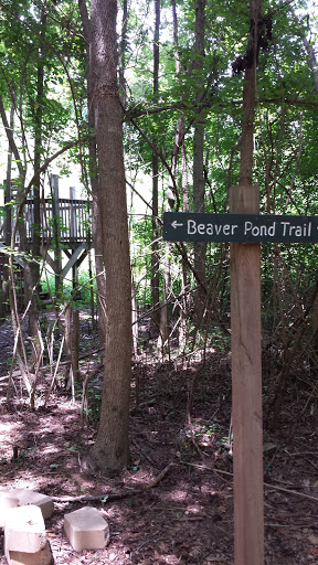 Beaver Pond Trail And Lookout
