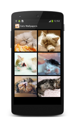 【免費個人化App】Cats Wallpapers HD-APP點子