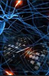 Test Your Reflex poster 1