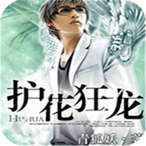 护花狂龙 7.4.7