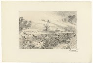 Heidelandschap met fazanten