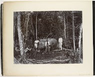 Olifantenjacht, Sumatra (Serdang Elephant)
