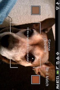Free Color Reader APK
