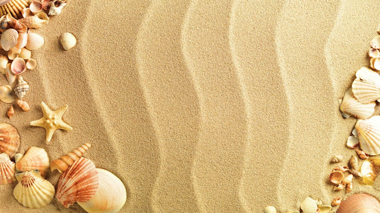 Sea Shell Live Wallpaper(圖7)-速報App