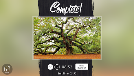 Venn Trees: Circle Jigsaw poster 5