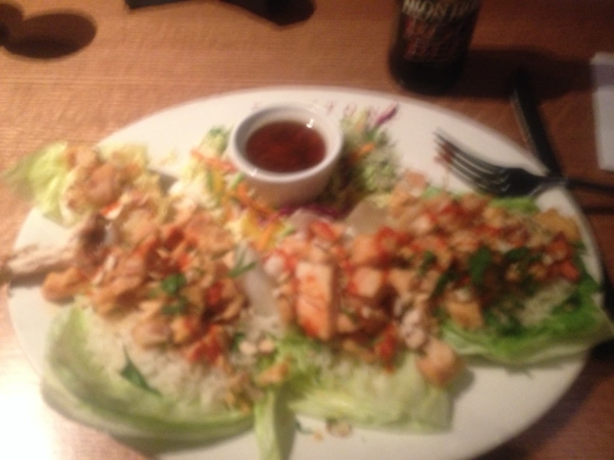 Lettuce wraps. Lots of chicken!!! Very good. A little spicy. I will ask for less sauce next time.