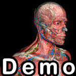 Cover Image of Download Demo Introd. à Anatomia Humana 0.4 APK