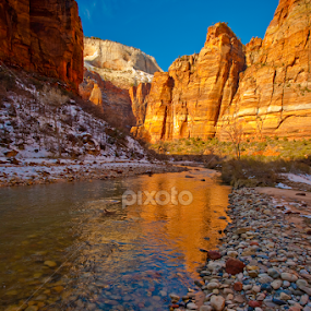 Zion Big Bend by Patrick Flood - Landscapes Mountains & Hills
