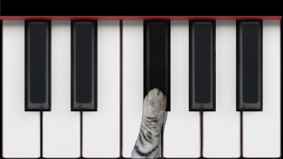 Cat Piano(圖2)-速報App
