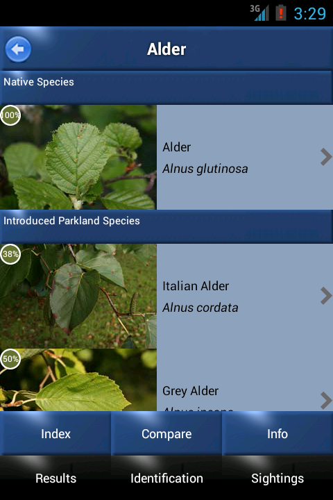 Tree Id - British Trees Screen 2