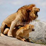 The Moment by David JC -  