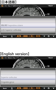 Interactive CT and MRI Anatomy(圖5)-速報App