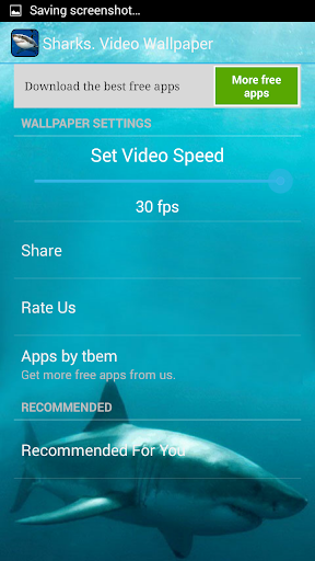【免費個人化App】Sharks. Video Wallpaper-APP點子