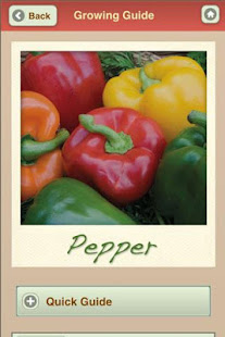 GROWING ORGANIC VEGETABLES(圖7)-速報App