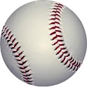 Baseball Bat