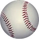 Baseball Bat