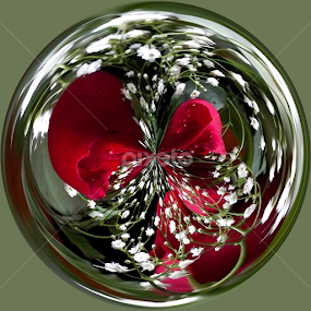 Red Roses & Baby Breath by Colleen Legree - Abstract Fine Art