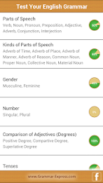 Test Your English Grammar Lite poster 2