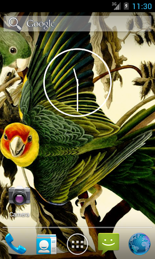 免費下載攝影APP|Audubon's Birds of America V02 app開箱文|APP開箱王