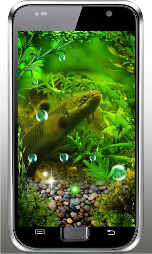 免費下載個人化APP|Aquarium Free live wallpaper app開箱文|APP開箱王