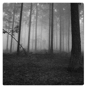 Slendermans Forest LW logo