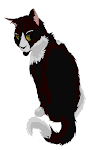 Practice 2