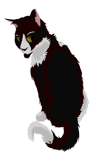 Practice 2