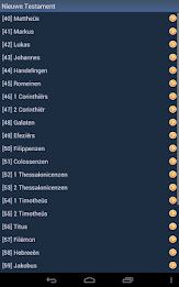 Dutch Holy Bible poster 9