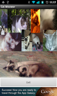 Cat Meower(圖1)-速報App