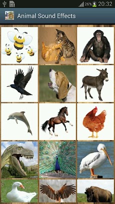 Animal Sound Effects Freeのおすすめ画像2