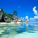 Amazing Tropics Live Wallpaper logo